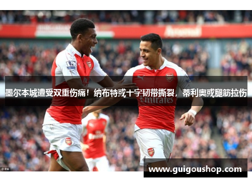 墨尔本城遭受双重伤痛！纳布特或十字韧带撕裂，蒂利奥或腿筋拉伤