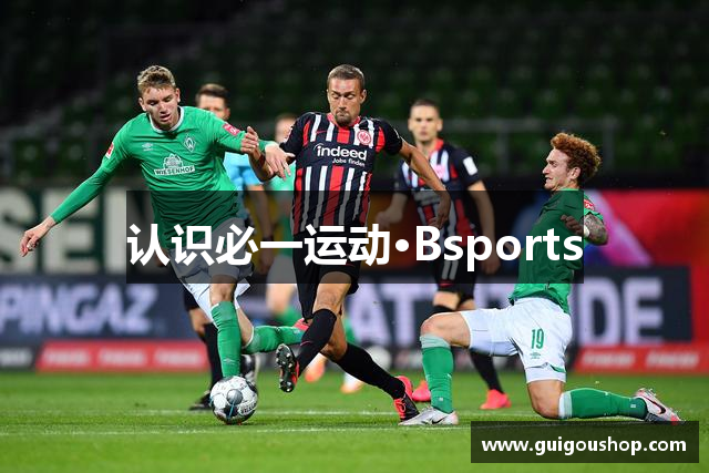 认识必一运动·Bsports